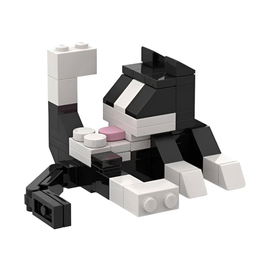 Onenazo Lécher derrière le chat