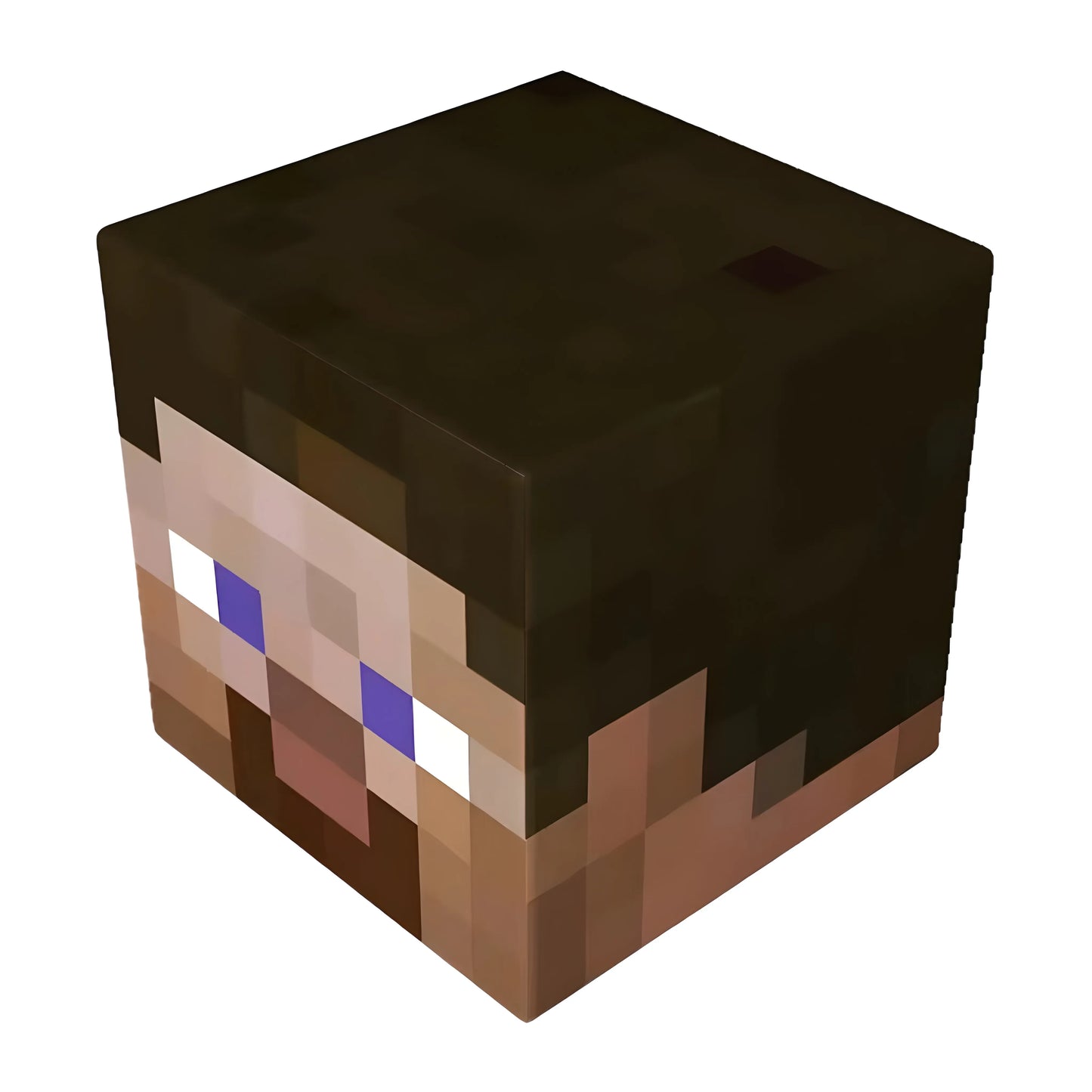 Steve Minecraft Magnetic Block