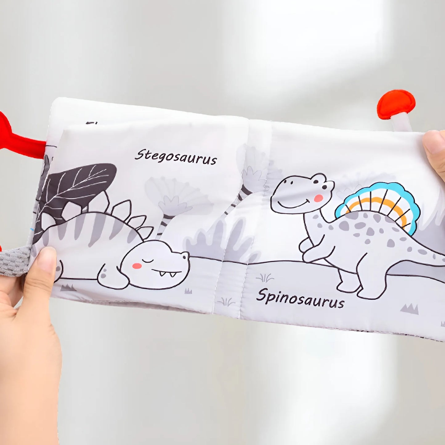 Children's book with illustrations of Stegosaurus and Spinosaurus on a white background