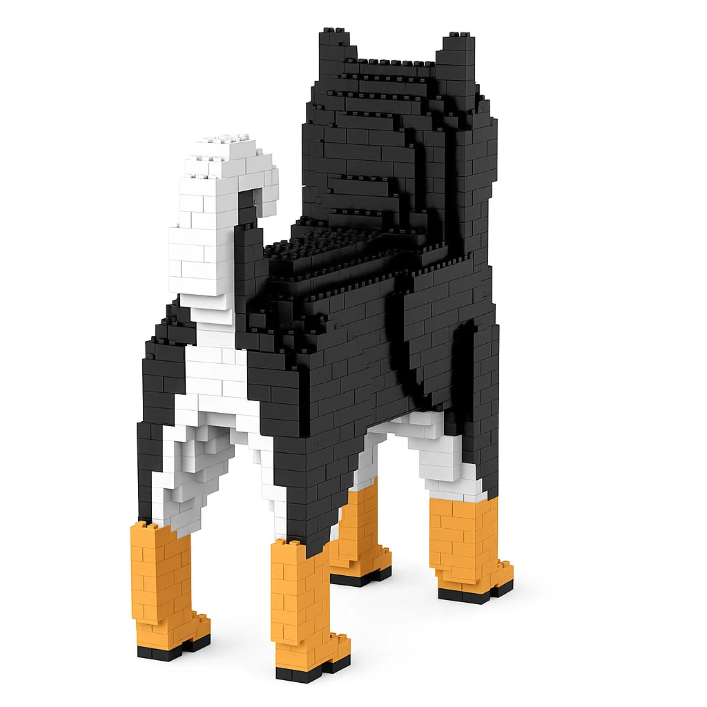 building blocks shiba inu black back