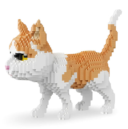 building blocks orange and white cat img 2