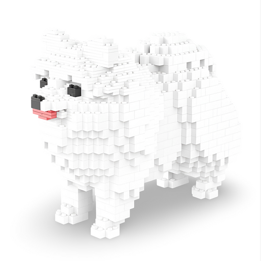 Pomeranian