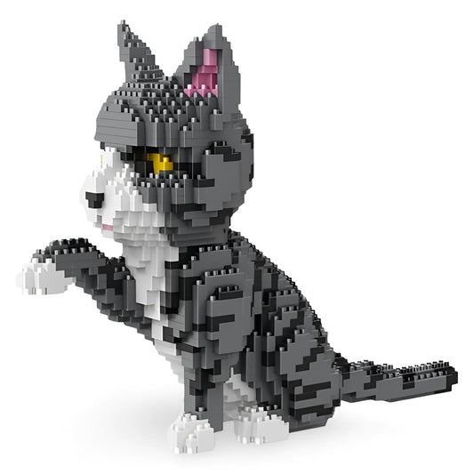 building blocks tabby cat img 1