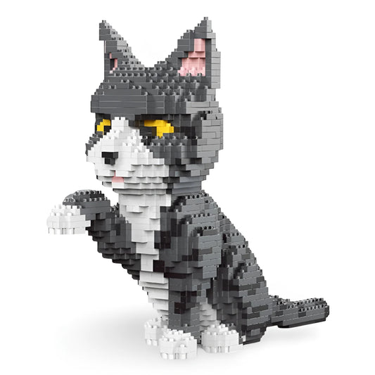 building blocks tabby cat img 3